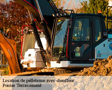 Location de pelleteuse avec chauffeur-4