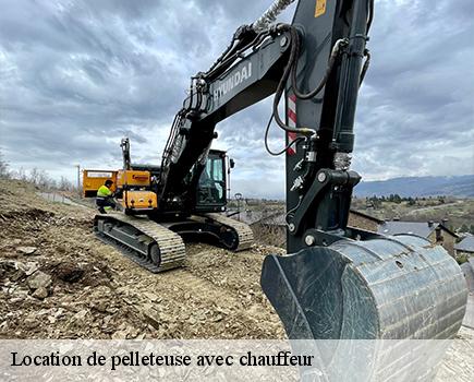 Location de pelleteuse avec chauffeur-5
