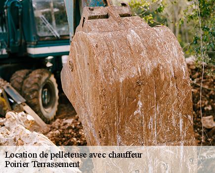Location de pelleteuse avec chauffeur-7