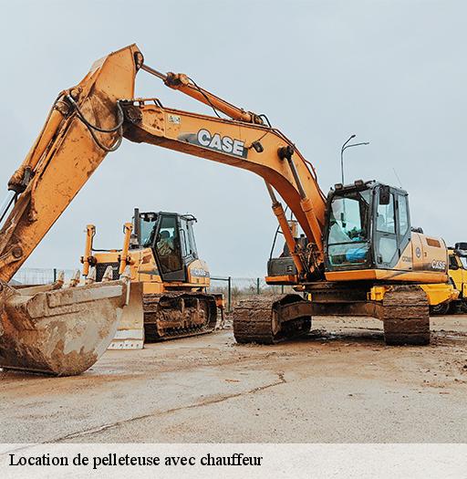 Location de pelleteuse avec chauffeur-8