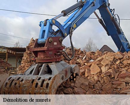 Démolition de murets-6