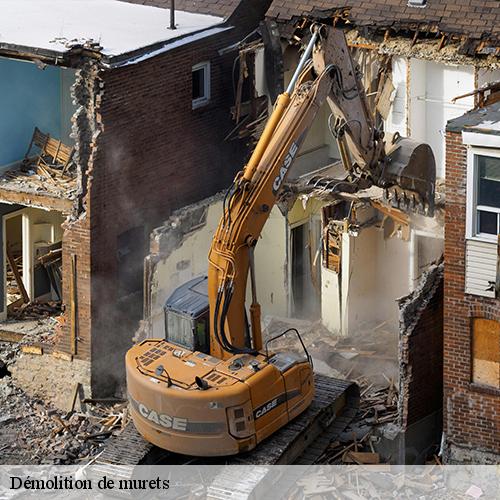 Démolition de murets-9