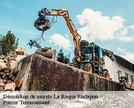 Démolition de murets-7