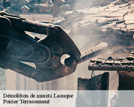 Démolition de murets-4
