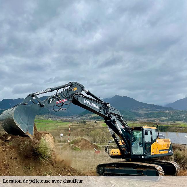 Location de pelleteuse avec chauffeur-9